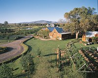 Hunter Valley Wineries - Peppertree